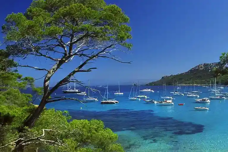 A Mediterranean charterer's paradise : the island of Porquerolles