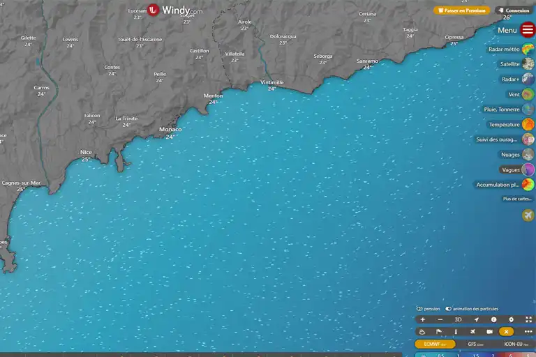Windy website interface